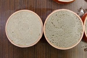  3	Surface structure of cross-sections from the lower (right) and upper quarter (left) of the through-flow test sample from Test 1 after ten weeks of sulphate exposure 
