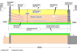  	Longitudinal section 