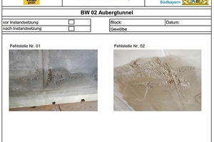  9	Protocol of condition: photographic recording of defects 