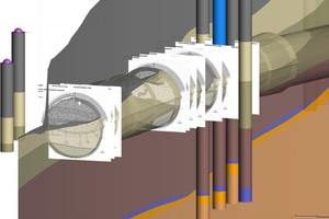  5	Face images in the geological 3D model 