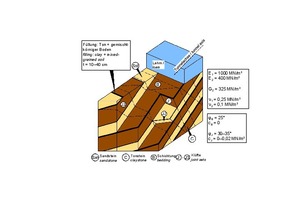  19 | Devonian sedimentary rock mass with clay fillings in bedding parallel discontinuities 