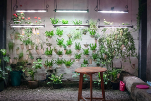  8	Research into the production and cultivation of food and plants for use in space is also being carried out at the VSH 