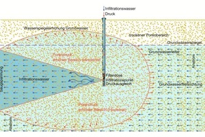  Principal of functioning of the DSI® system 