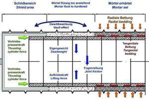  3)	Force equilibrium of segment tube and rate of advance | 