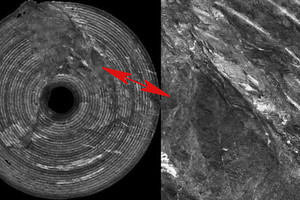  5	Orthofoto der vollen TVM-Ortsbrust als Ergebnis der photogrammetrischen Auswertung (links) mit Detail (rechts) 