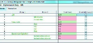  Local weighting according to the criteria evaluation with DEMUS2 