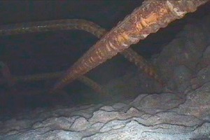  1  Exposed reinforcement in the roof zone of a tunnel inner shell 