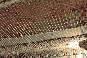 Redevelopment Of The Ceiling Of The Historic Metro Station